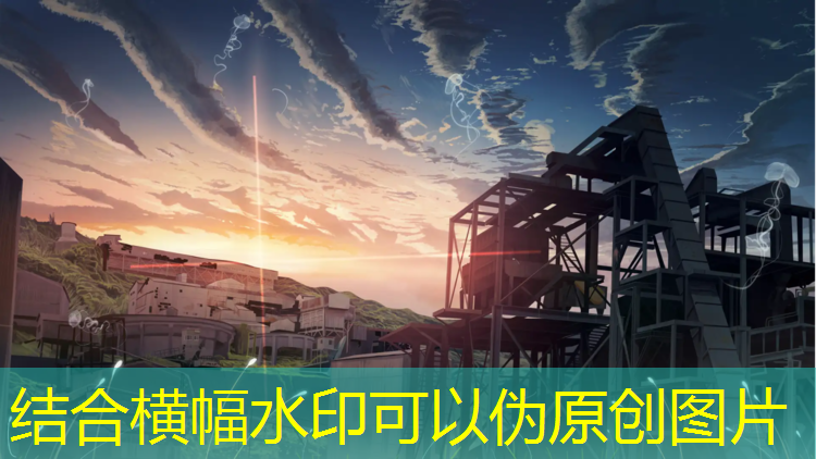 王中王网球网