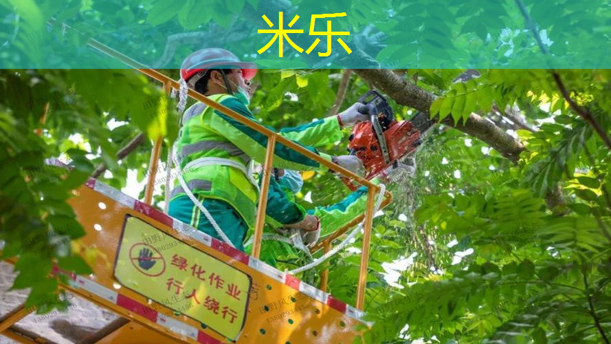 懒人训练网球拍怎么用的