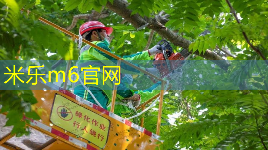 mile·米乐m6：大童运动网球拍怎么选