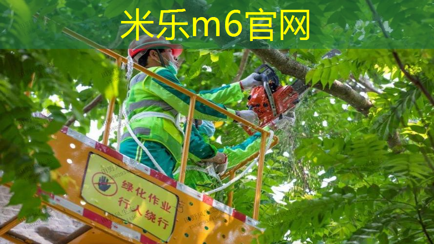 网球拍平衡点哪个好用