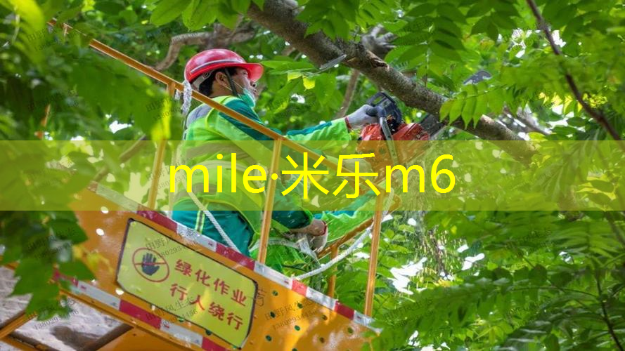 米乐：网球拍拍柄怎么用的好