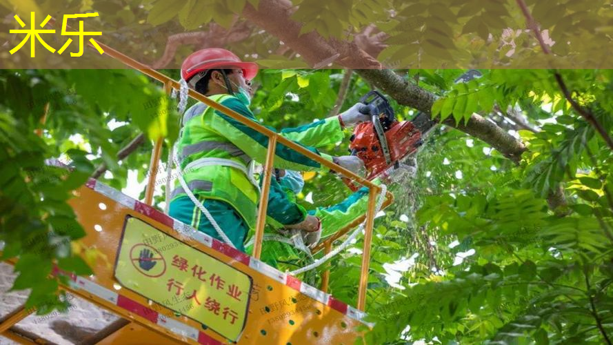 米乐m6官网：二人转网球拍