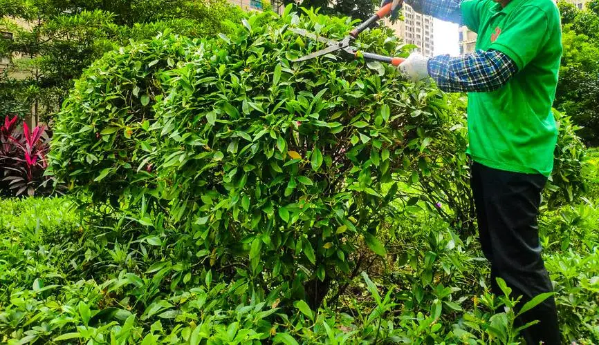 mile米乐m6官网：马里奥网球拍如何设置手柄