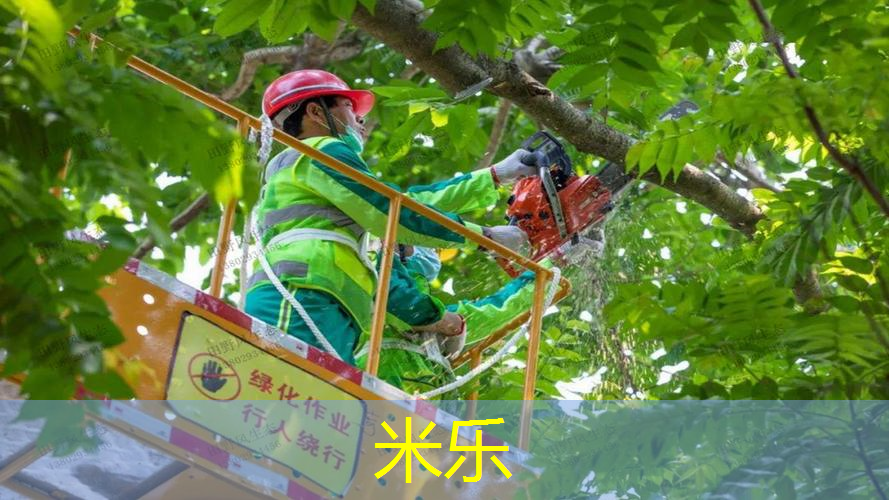 打平击网球拍选择什么拍子