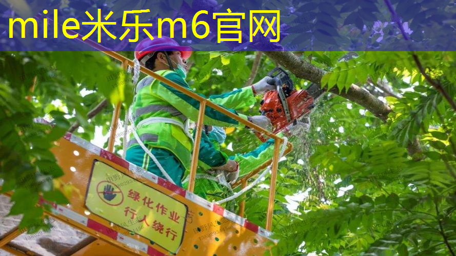 mile·米乐m6：没有器材怎么加网球拍子