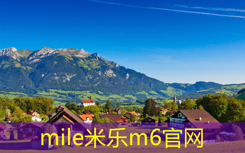 mile米乐m6官网：最大网球拍多大尺寸好用