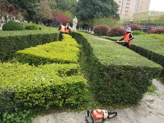 网球拍305克重吗能用吗_