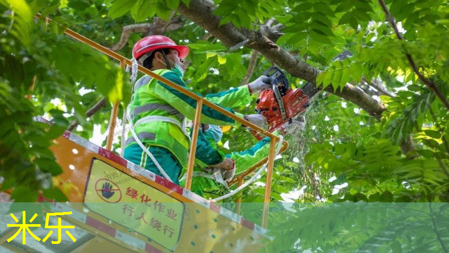 mile米乐m6官网：运动造型网球拍怎么样选