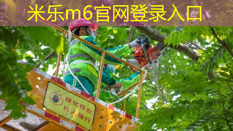 网球拍怎么打出来的