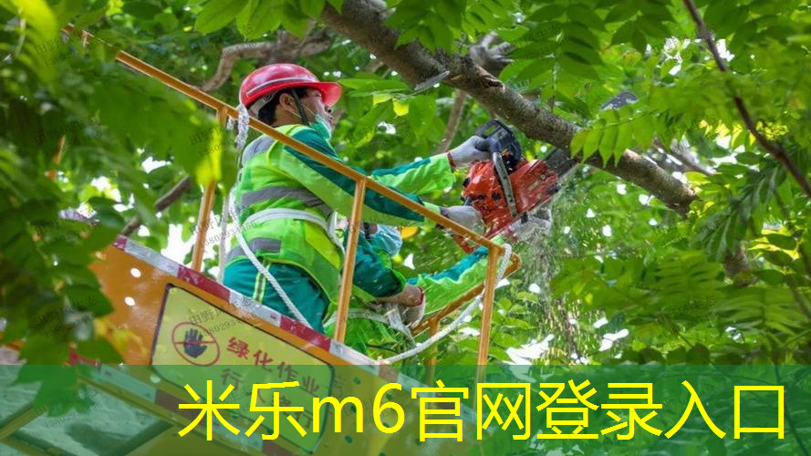 米乐：女生室内健身运动锻炼