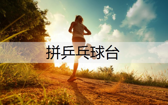 拼乒乓球台 拼乒乓球台