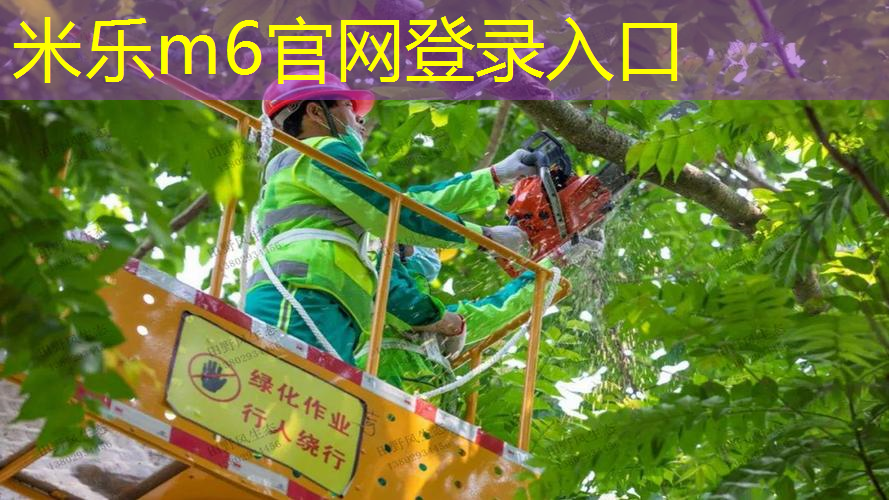 网球拍拍柄怎么用的好