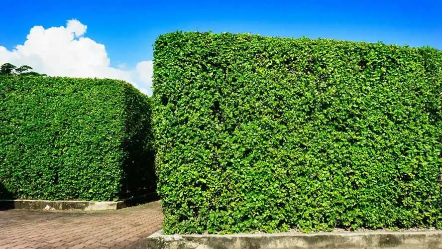 天龙网球拍适合初学者吗_