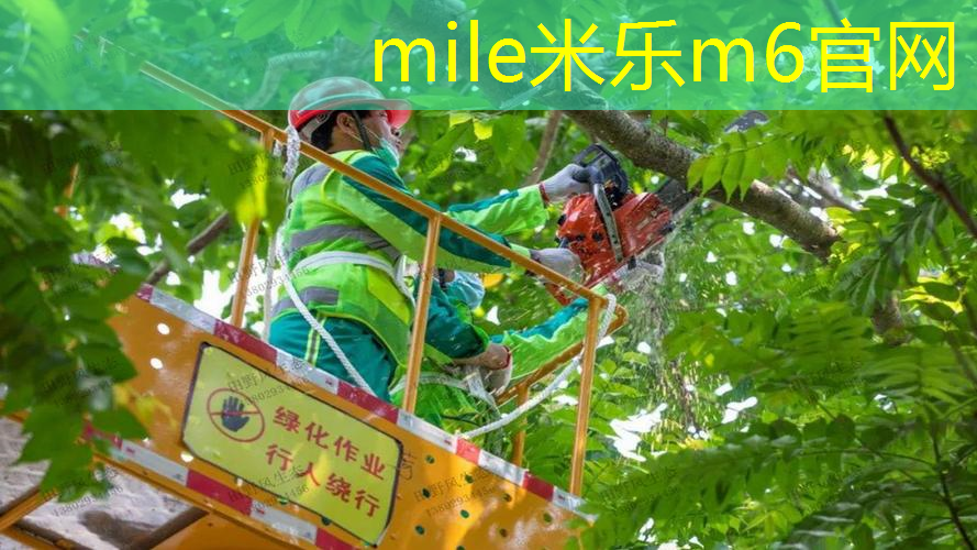 二人转网球拍
