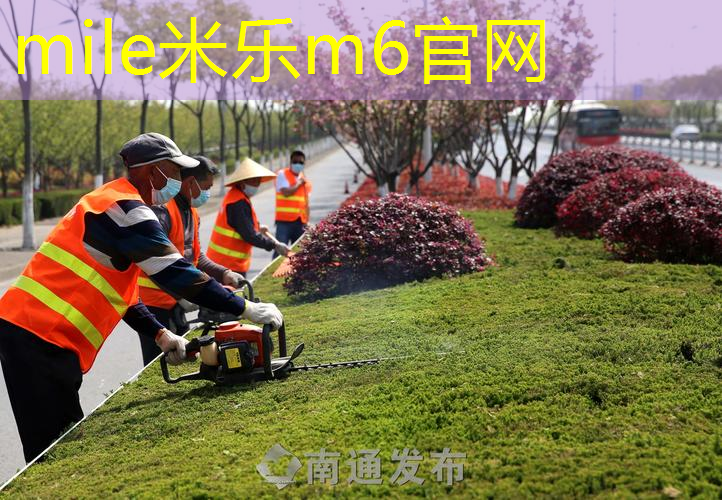 什么网球拍有拍面效果