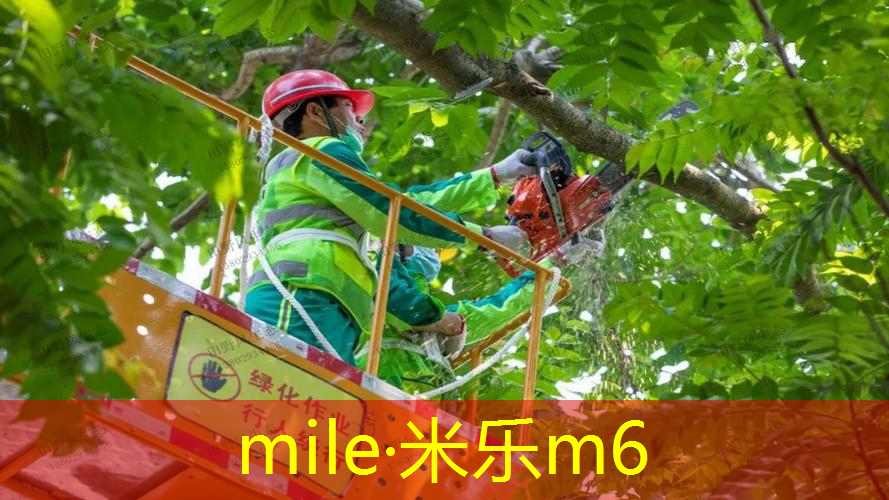 打平击网球拍选择什么拍子