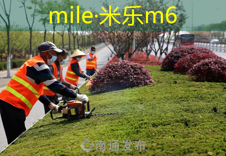 玫瑰花网球拍怎么打的好看