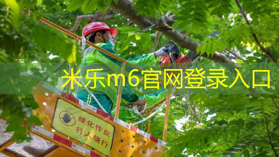 运动造型网球拍怎么样选