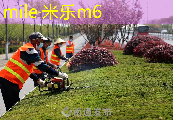 网球拍线的颜色怎么选择