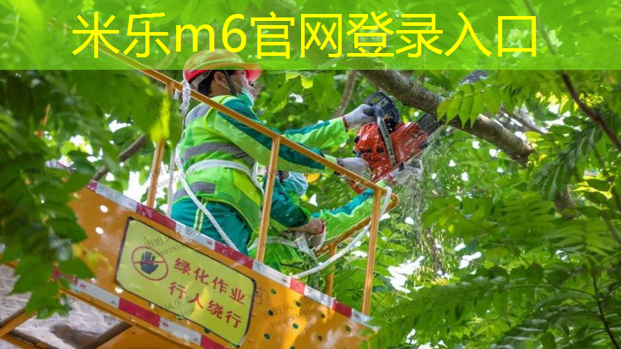 实心球 竞技运动